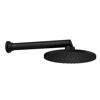Imagen de Brazo con roseta de pared Aquamax negro mate 210mm DECA
