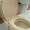 Imagen de Asiento para inodoro oval Arena Viqua