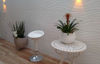 Imagen de Mare White